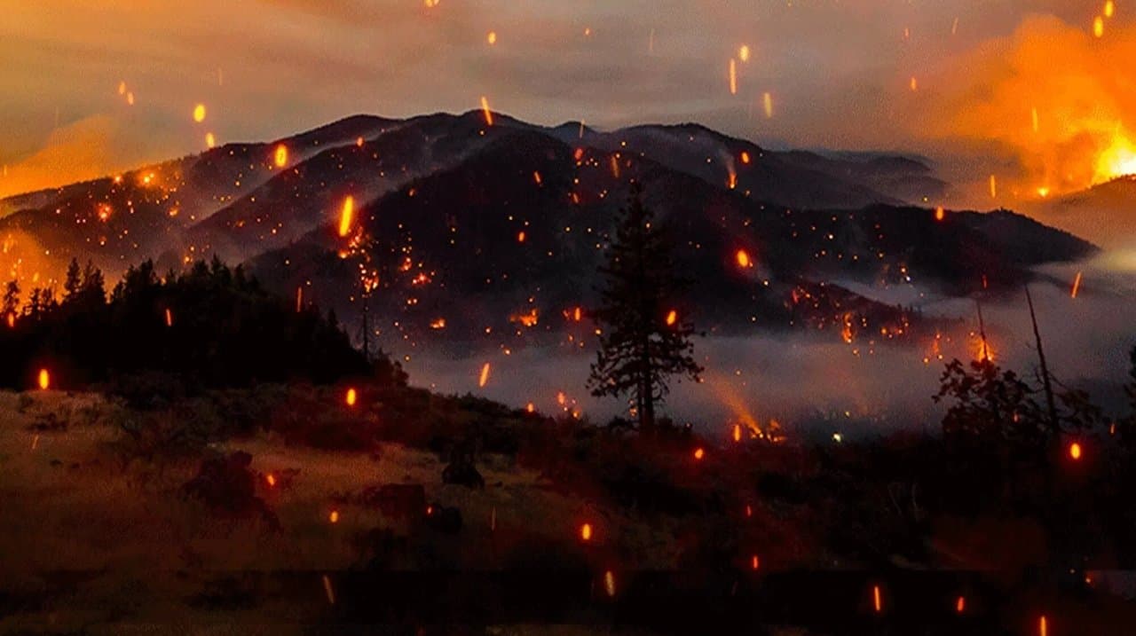 Elemental: Reimagine Wildfire