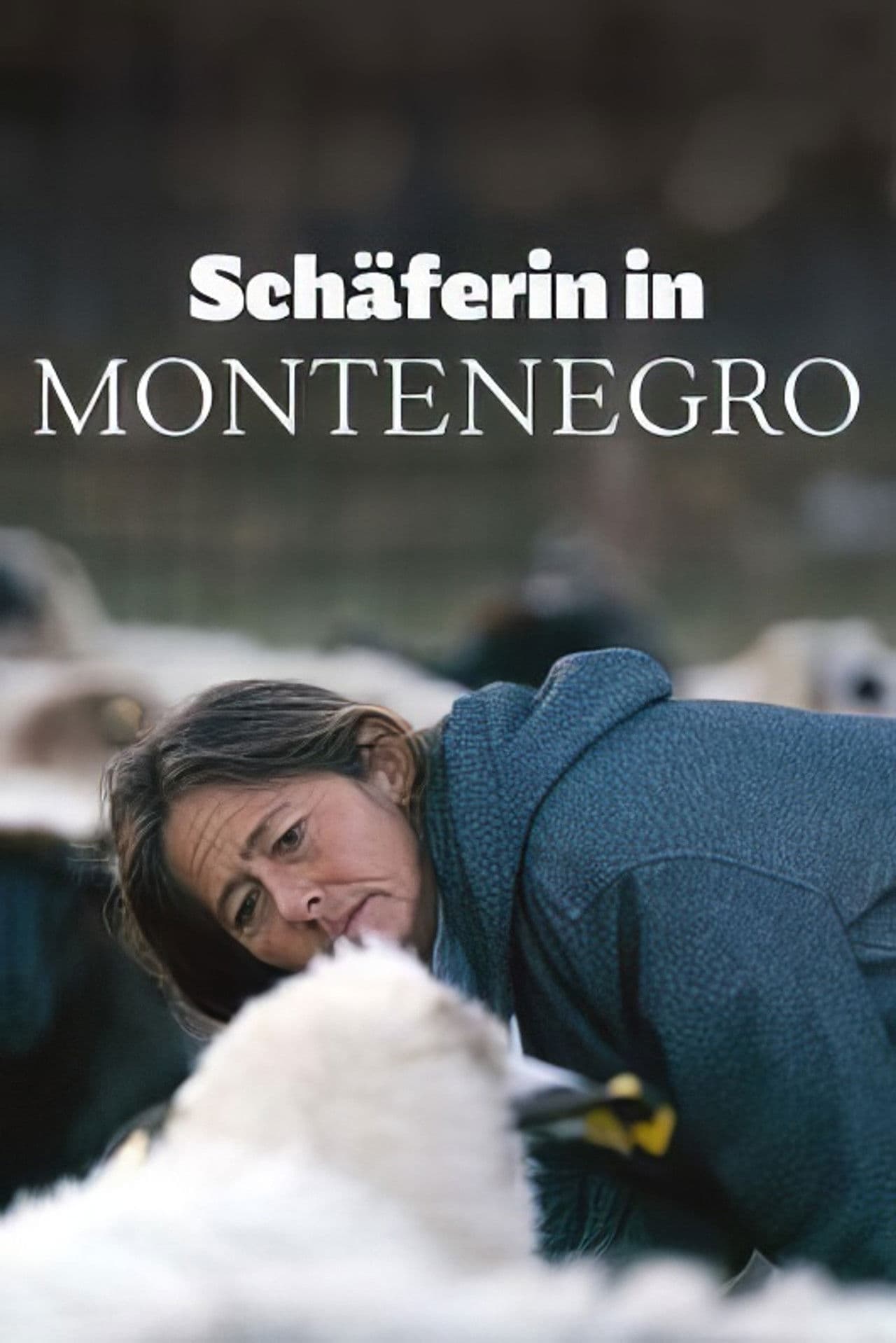 Montenegro - Die Schäferin und der Wind des Fortschritts