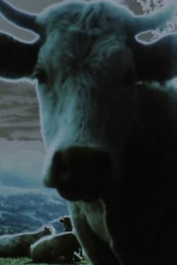 Darkness, Darkness, Burning Bright – Prelude