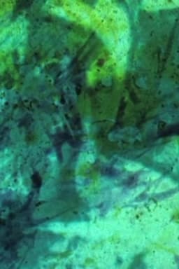 Spectre / Effacement / Disparition (Film expérience / fragilité)