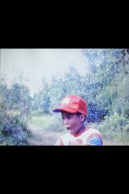 Willie Jack in the Jungle