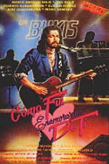 How Did I Come to Fall in Love With You?