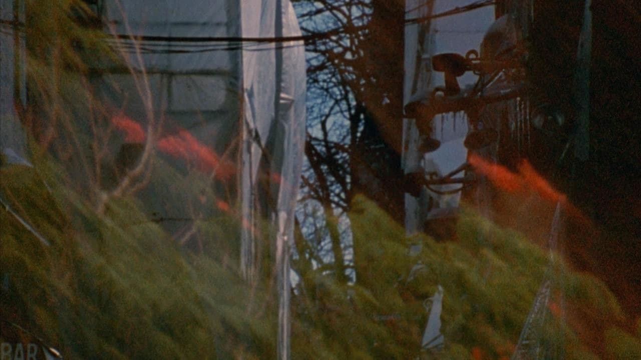 Visions in Meditation #3: Plato's Cave