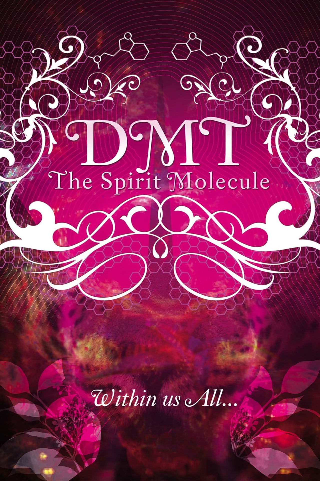 DMT: The Spirit Molecule