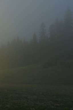 In A Beautiful And Quiet Location