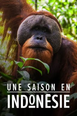 Une saison en Indonésie