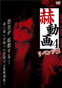 Startling Videos 4: Revenge Edition