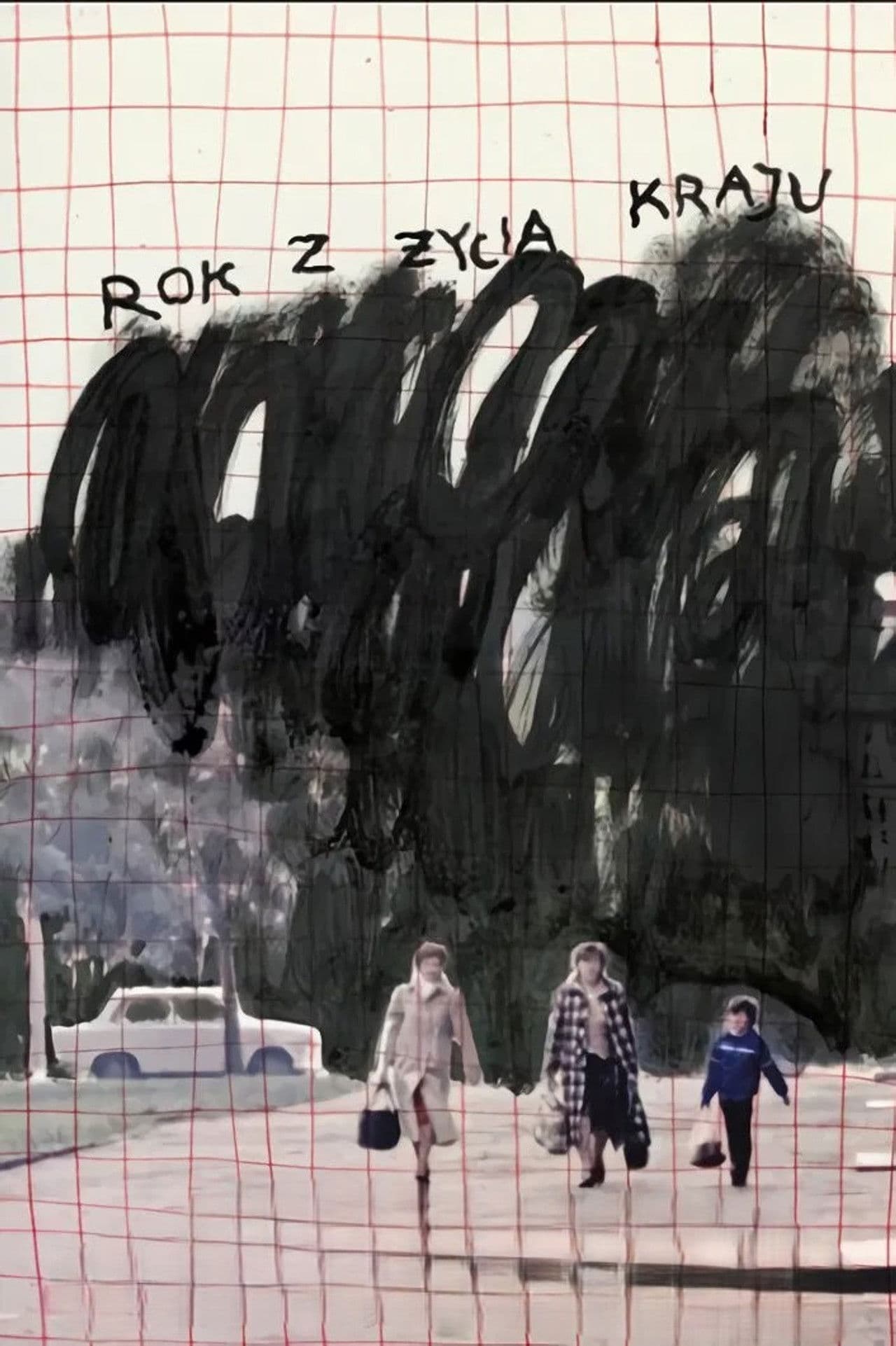 A Year in the Life of the Country