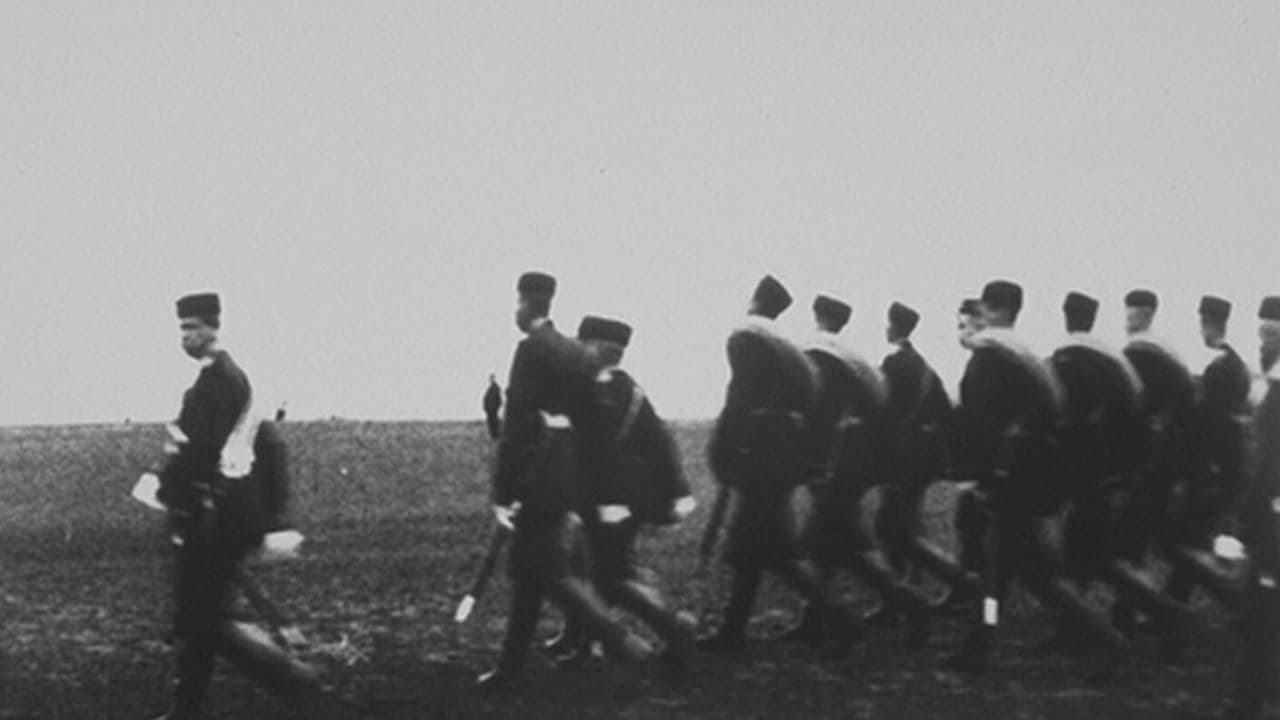 Revue de Krasnoïe Selo : pages