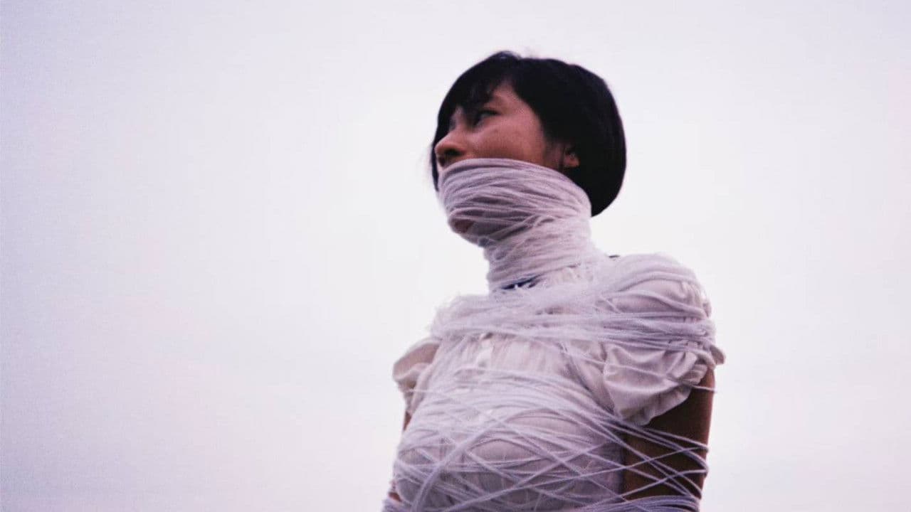 What are you looking for?