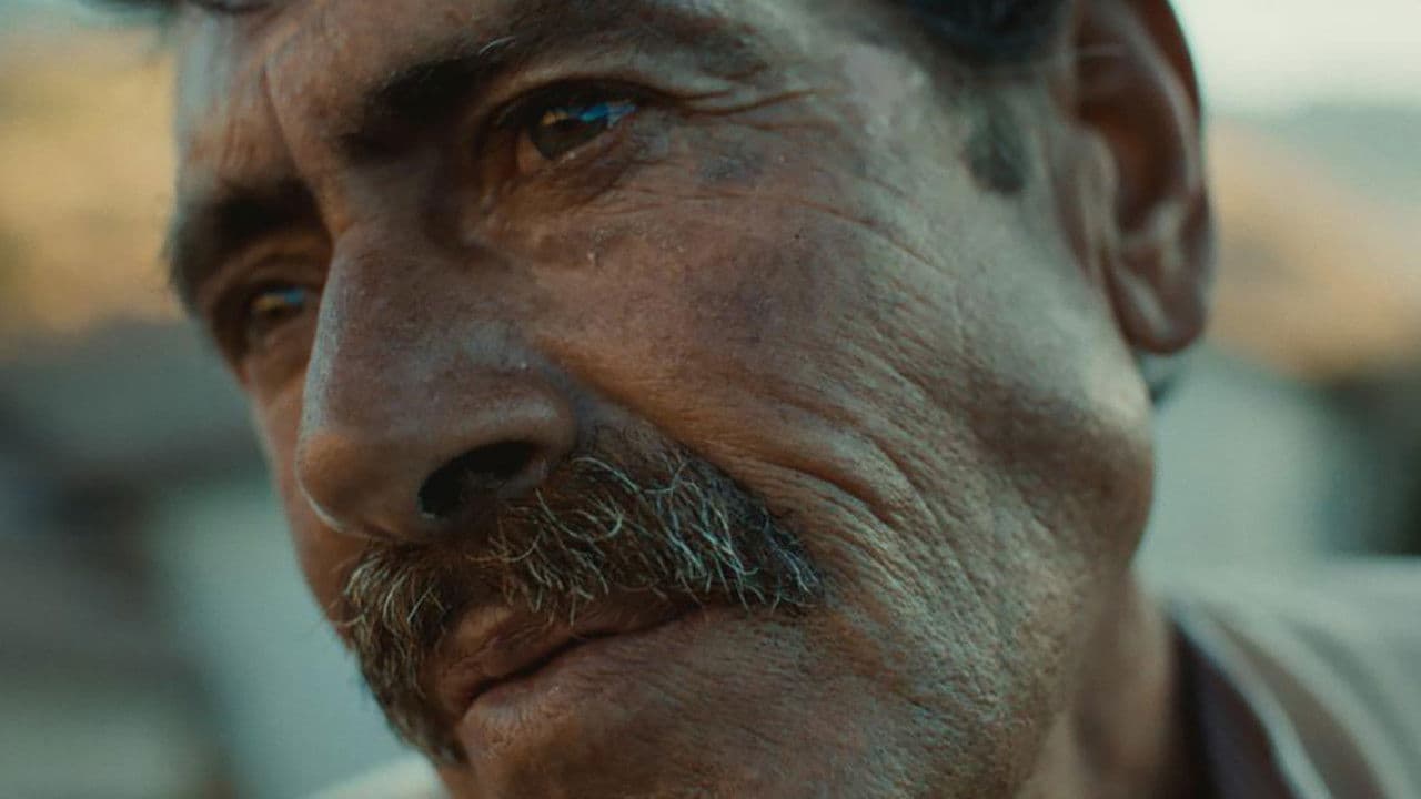 Looking for a Donkey