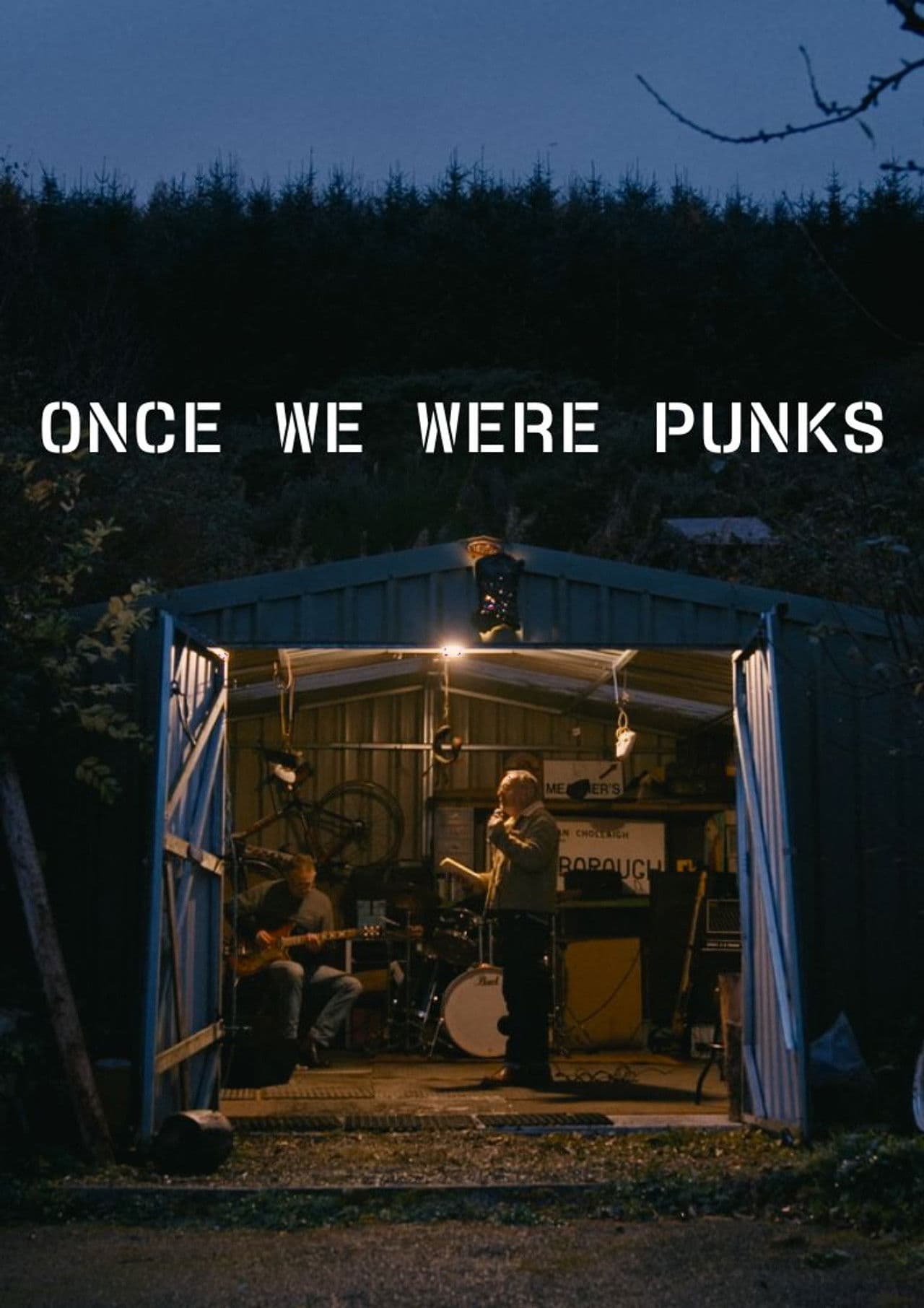 Once We Were Punks