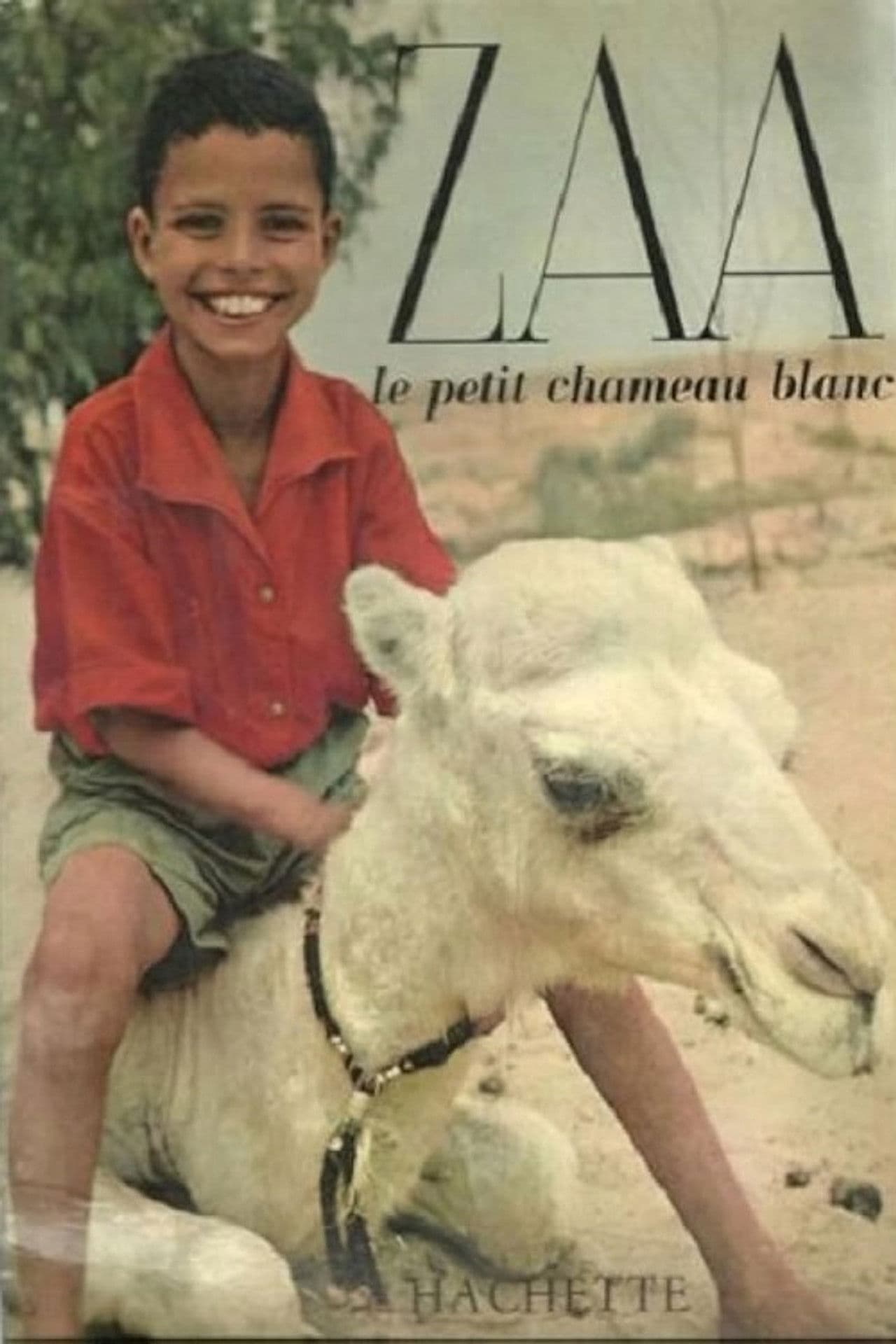 Zaa, the Little White Camel