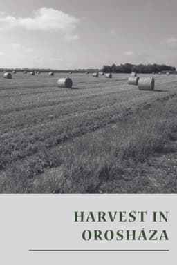 Harvest in Orosháza