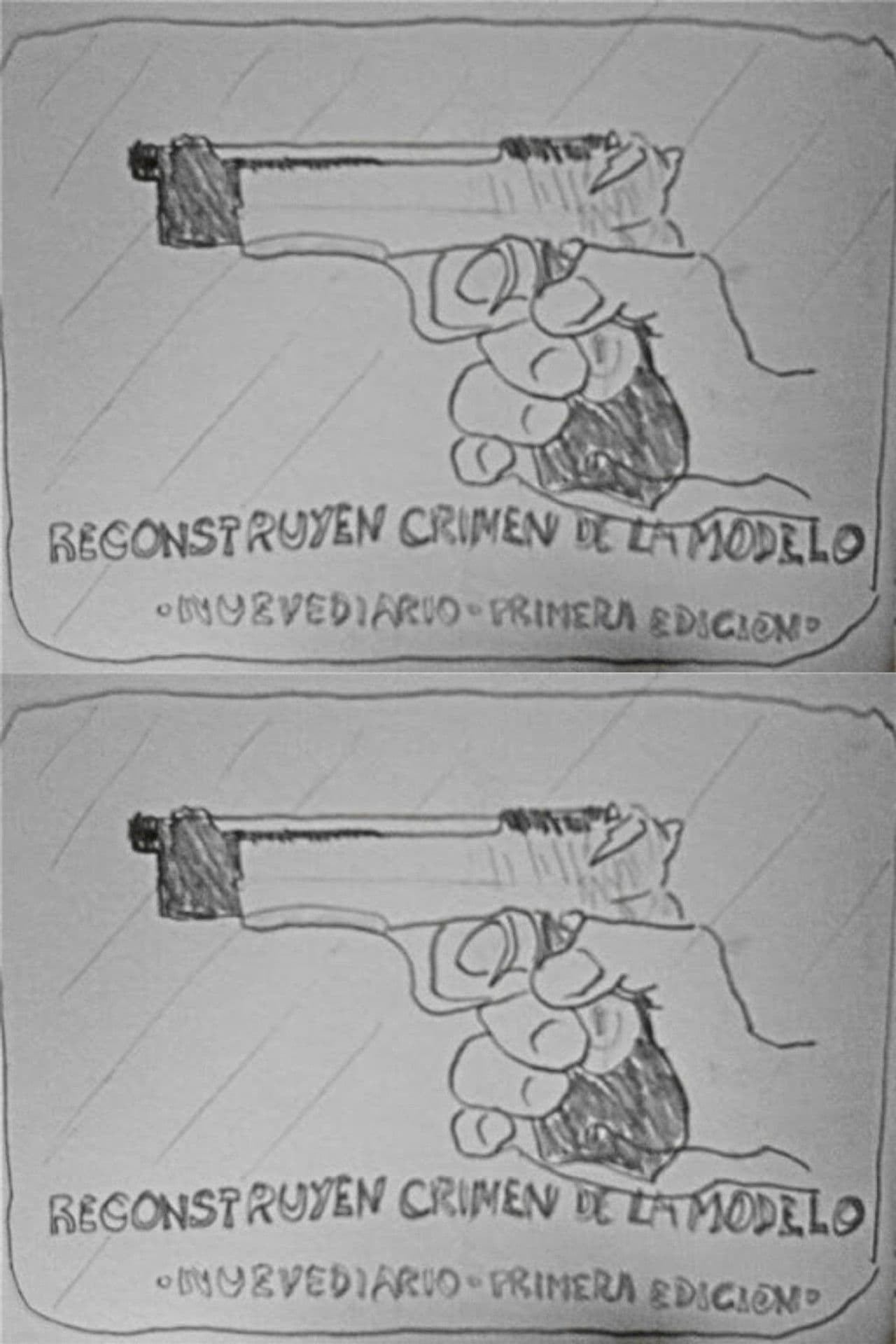 Reconstruyen crimen de la modelo