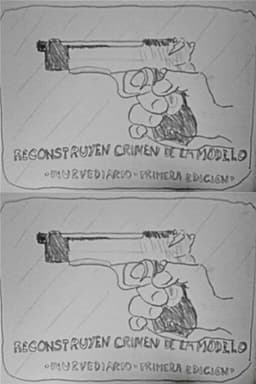 Reconstruyen crimen de la modelo