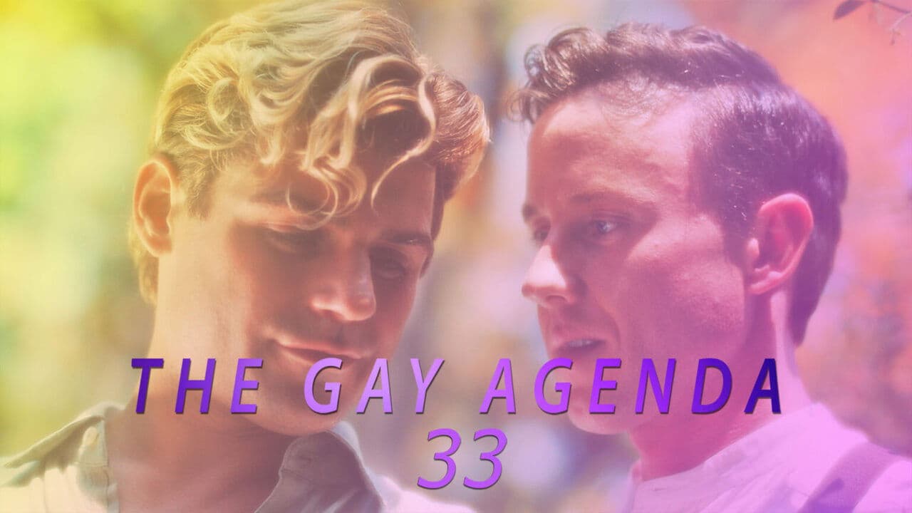 The Gay Agenda 33