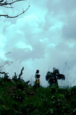 The Exile (Pituvahalaya)