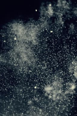 When We Are Nothing Left