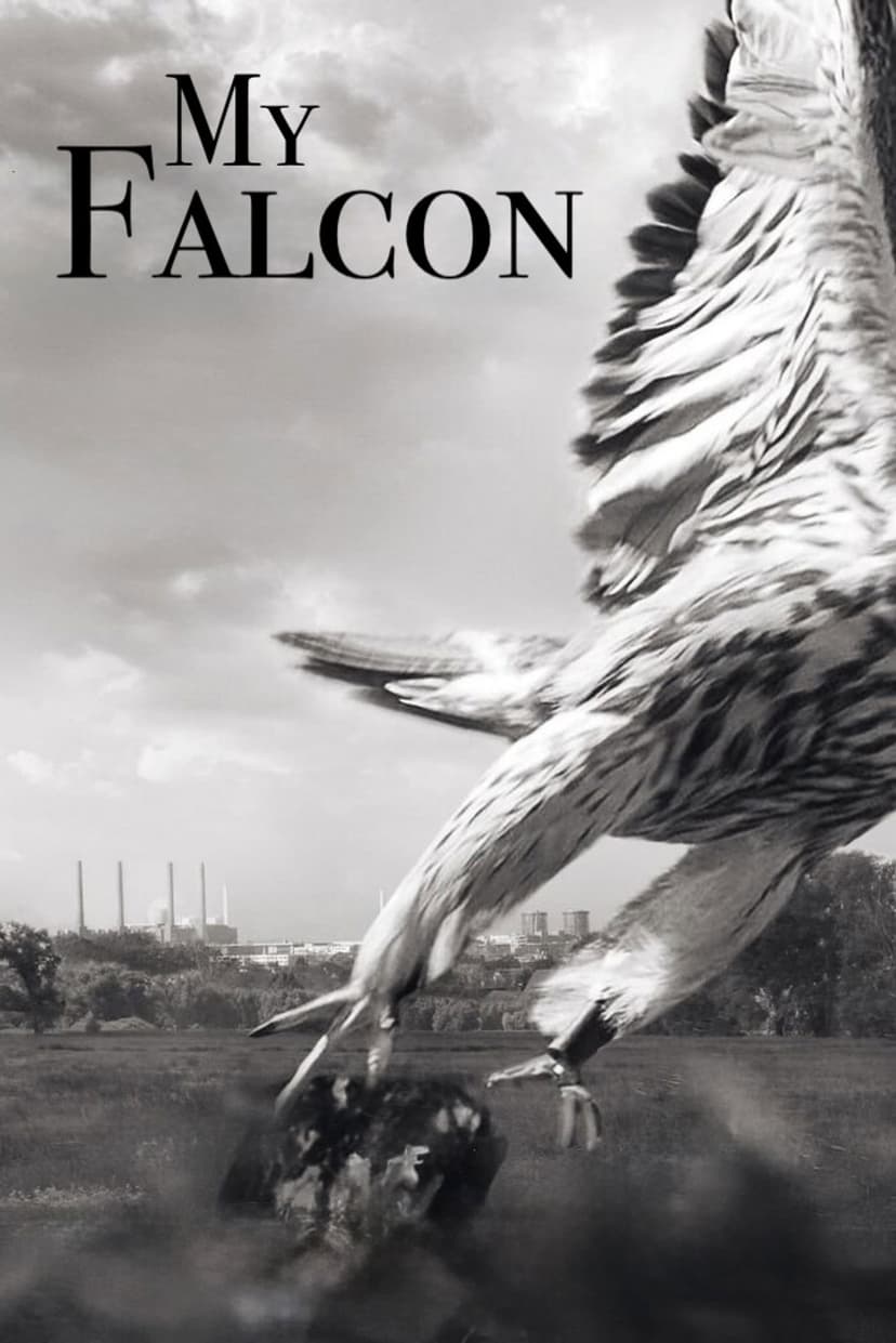My Falcon