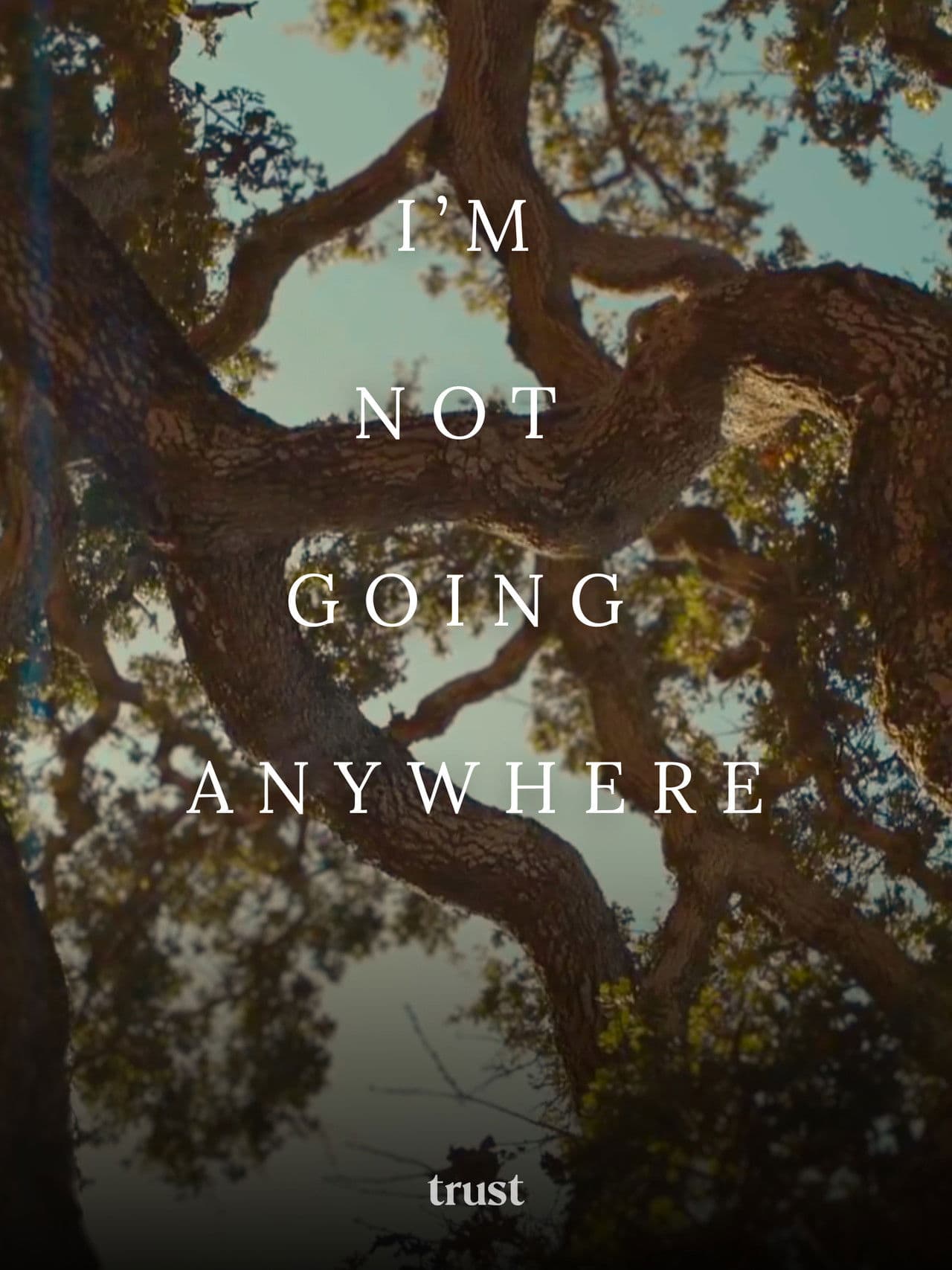 I'm Not Going Anywhere