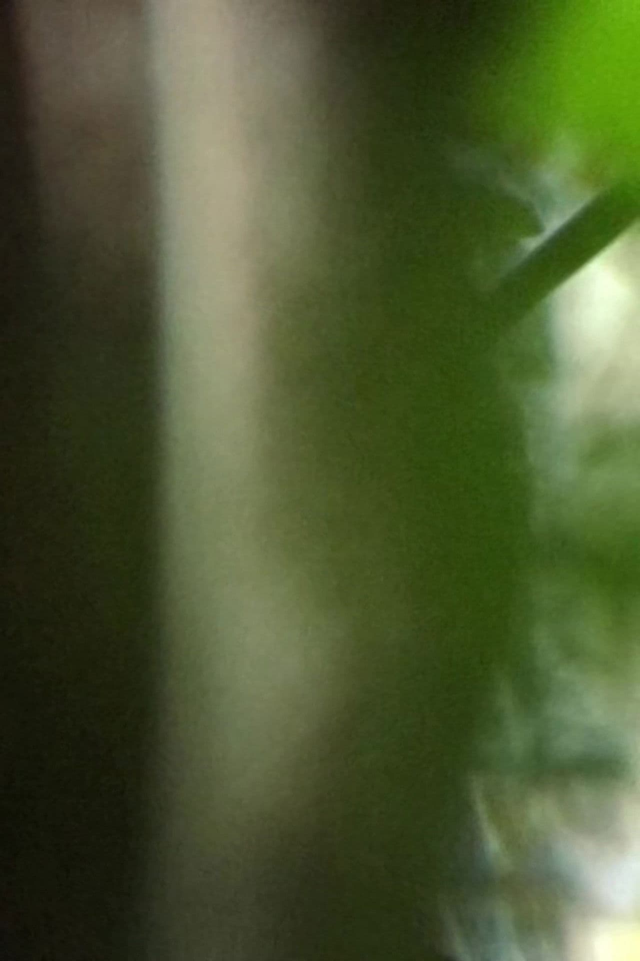 Inhabit, receive, resist