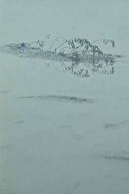 Stay With Me, the World is a Devastating Place