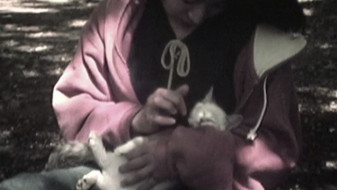 In The Shadow Of A Tree