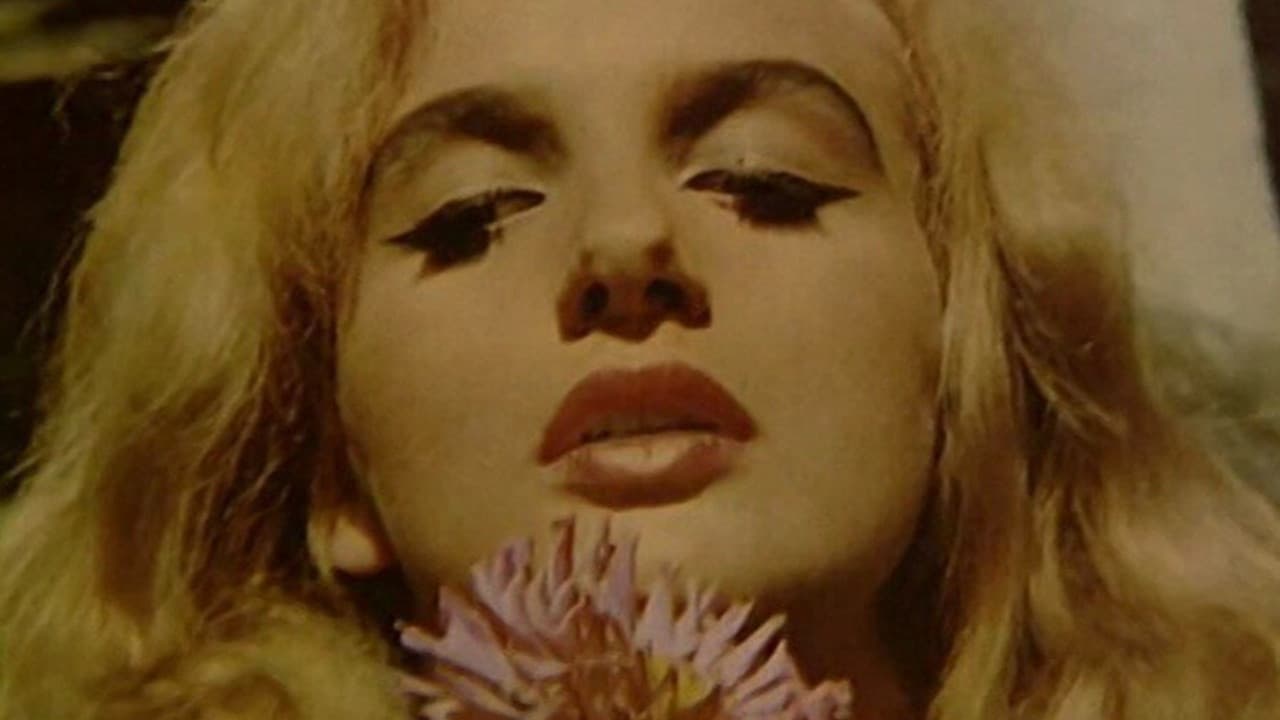 Didn't Do It For Love