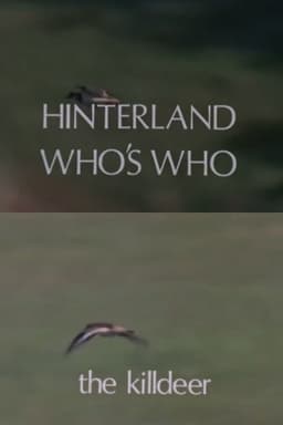 Hinterland Who's Who: Killdeer