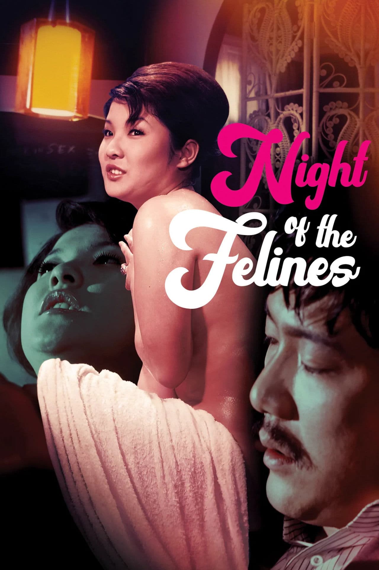 Night of the Felines
