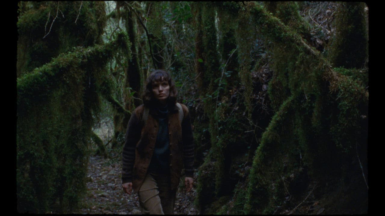 The Fountain of Memory