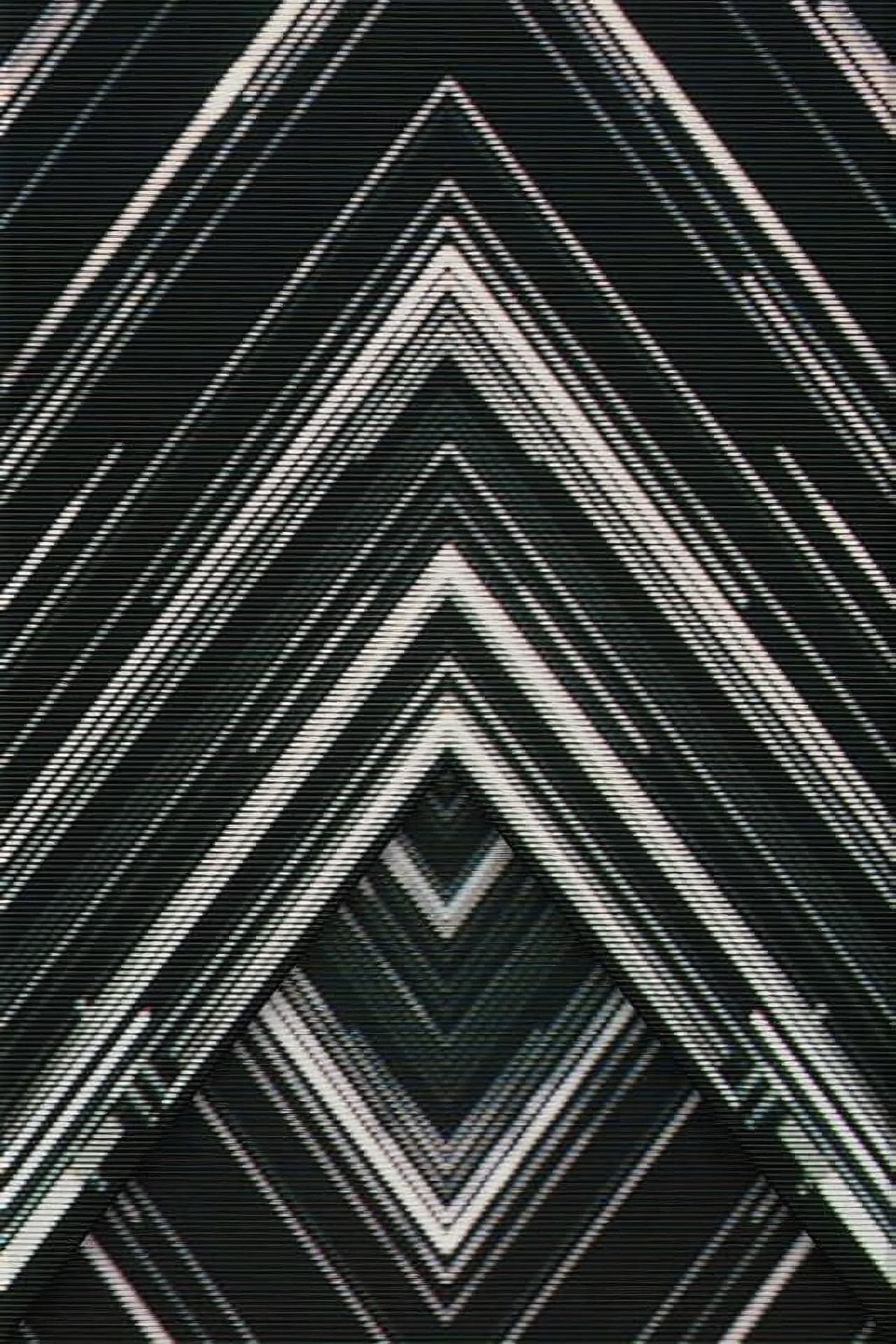 SAKANAQUARIUM 2015-2016 "NF Records launch tour" -LIVE at NIPPON BUDOKAN 2015.10.27-