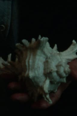 Does the Sea Have a Heart?