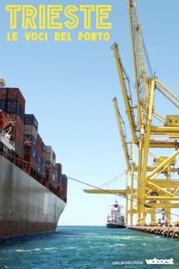 The Voices of the Harbor