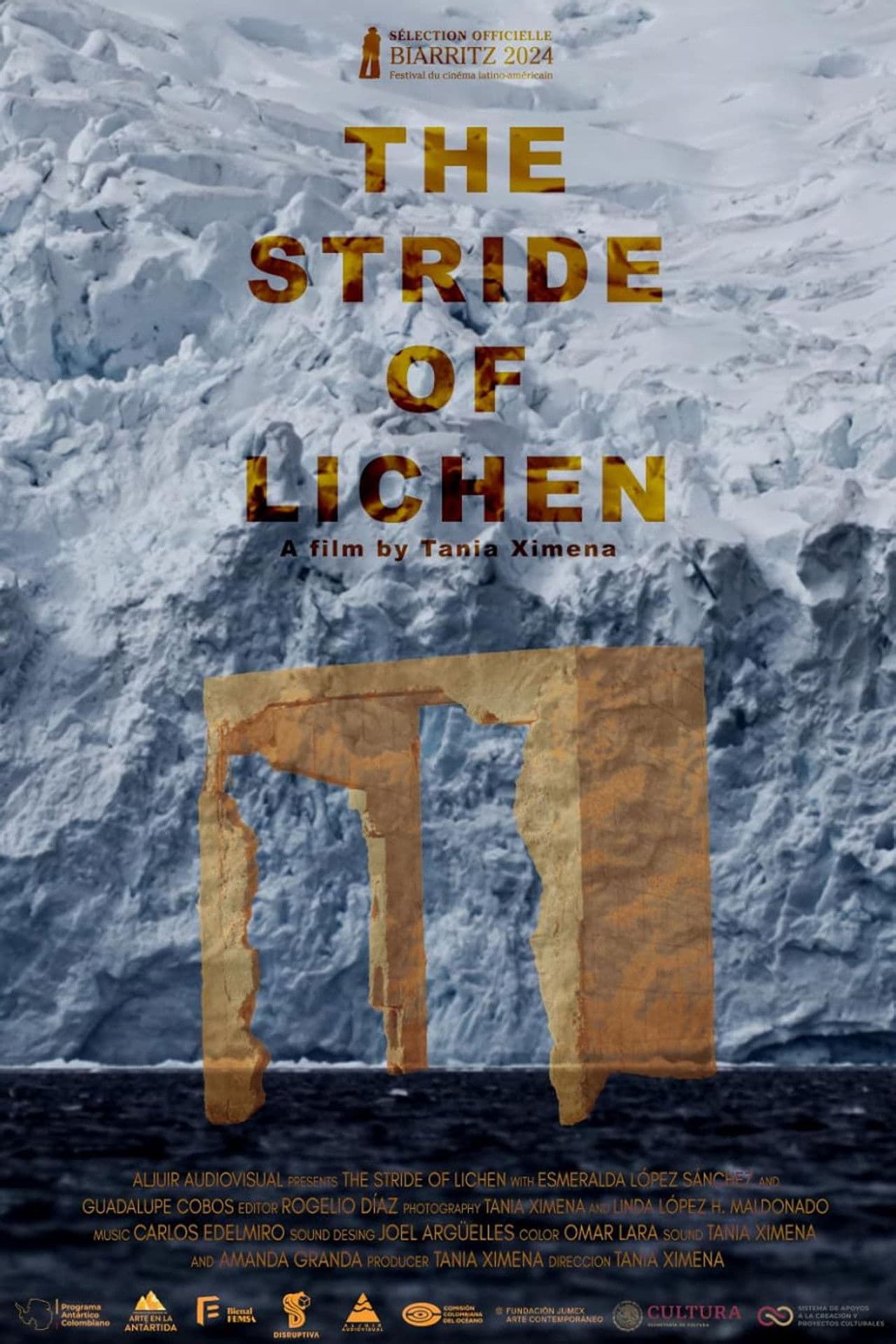 The Stride of Lichen