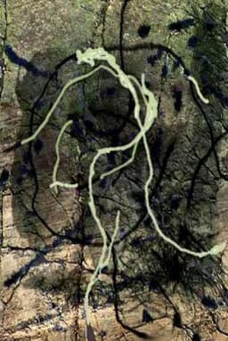 Thunder river (Places and Monuments 4)