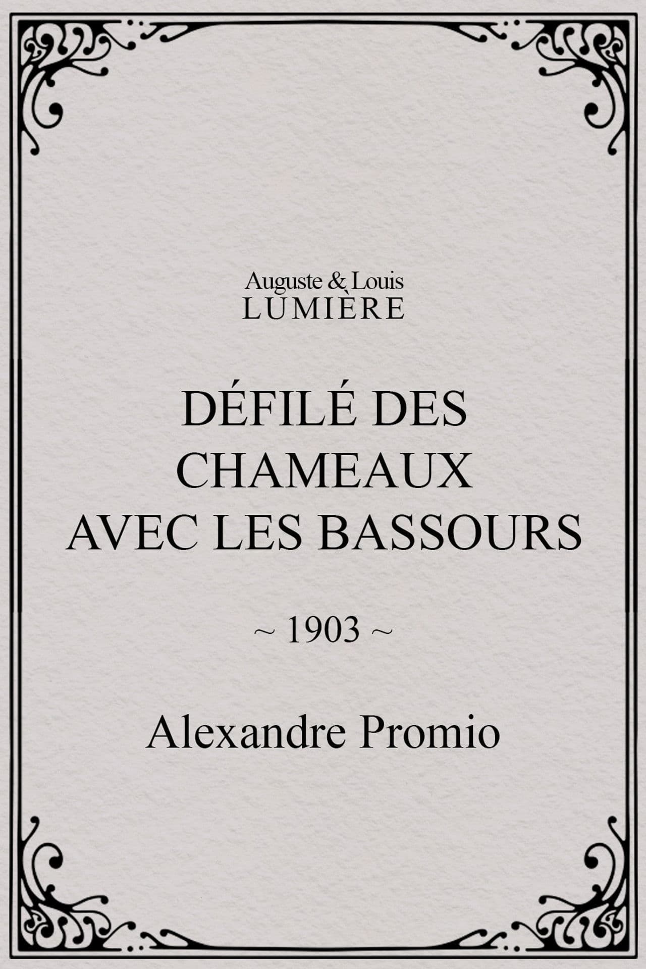 Défilé des chameaux avec les Bassours
