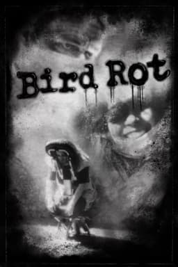 Bird Rot