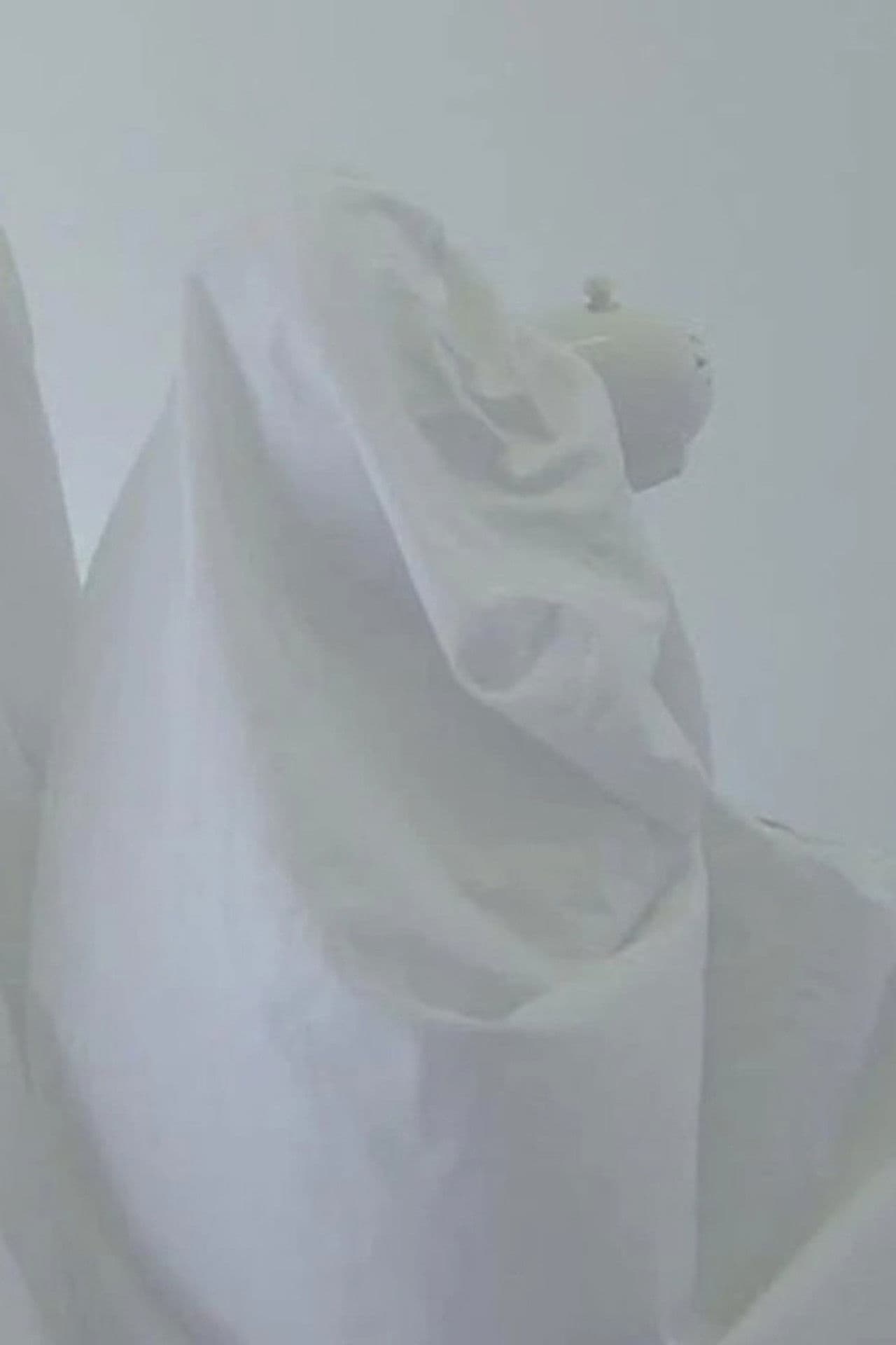 All My Love All My Love