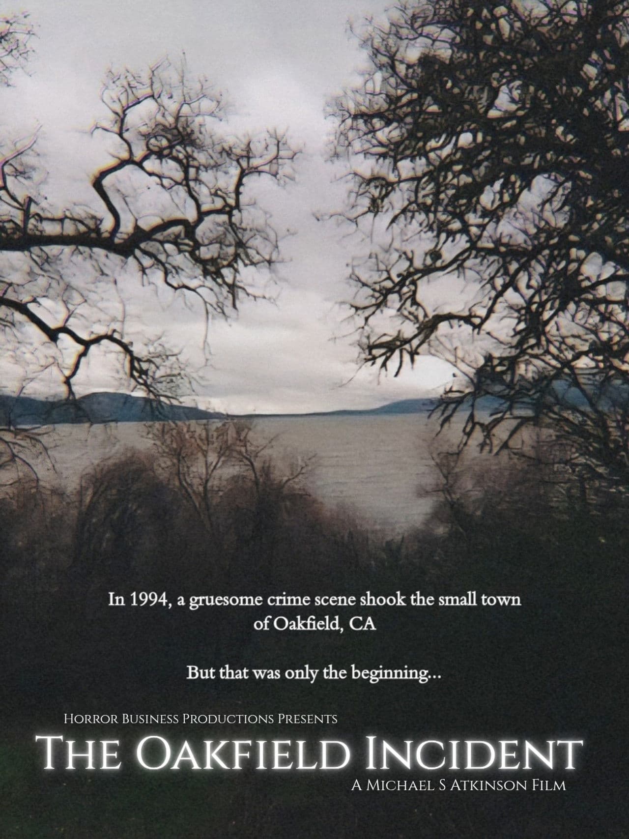 The Oakfield Incident