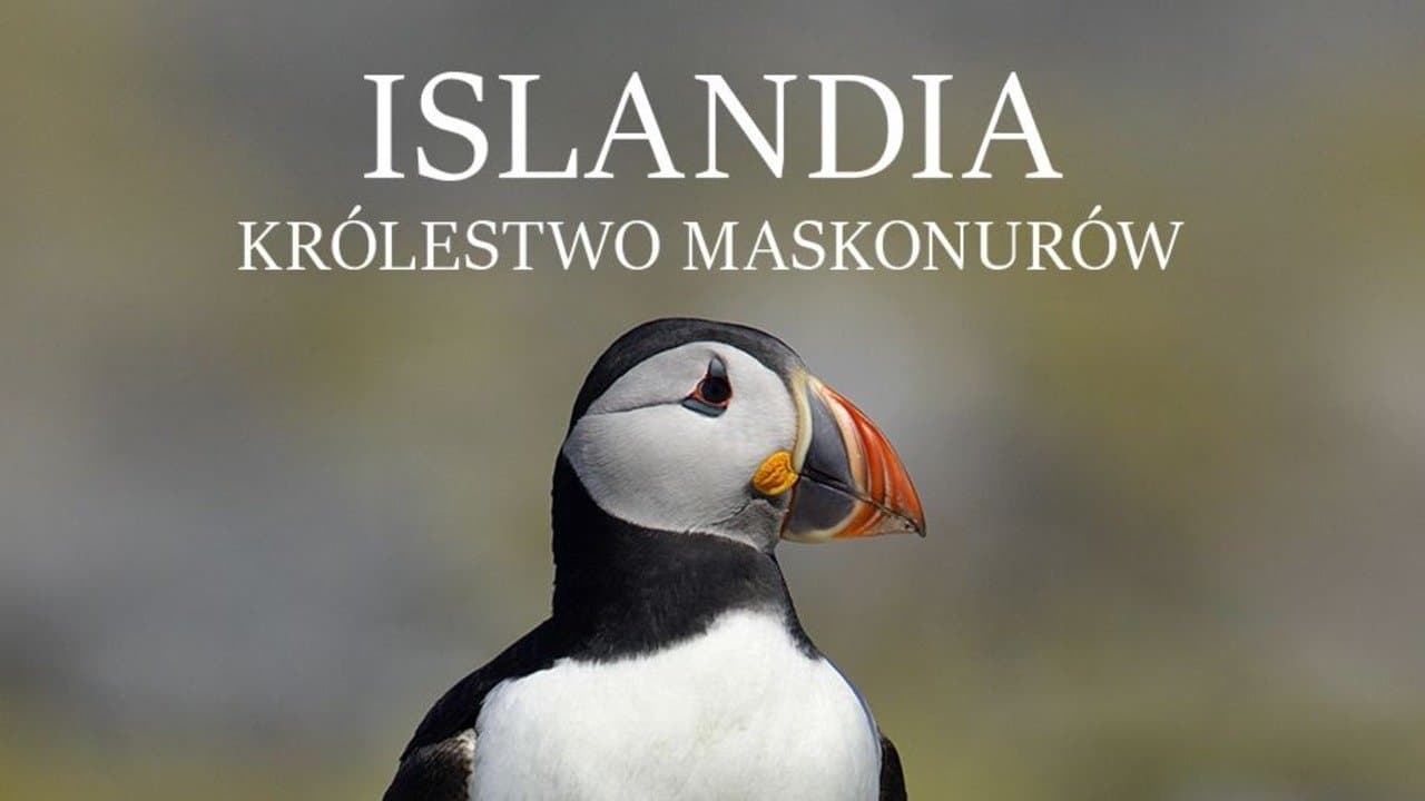 Islande, Le sanctuaire des macareux