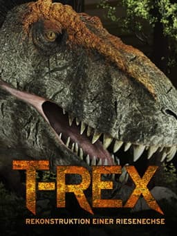 T-Rex - Rekonstruktion einer Riesenechse