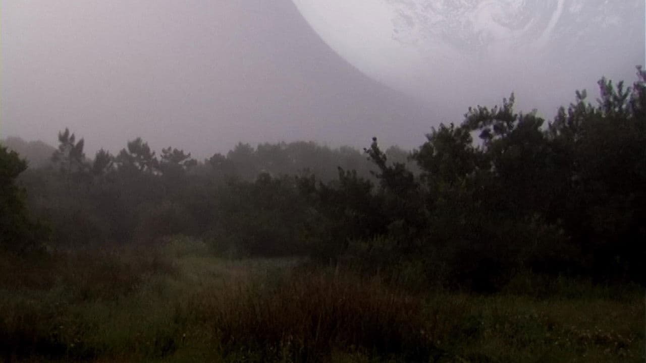 The Outer Space Forest