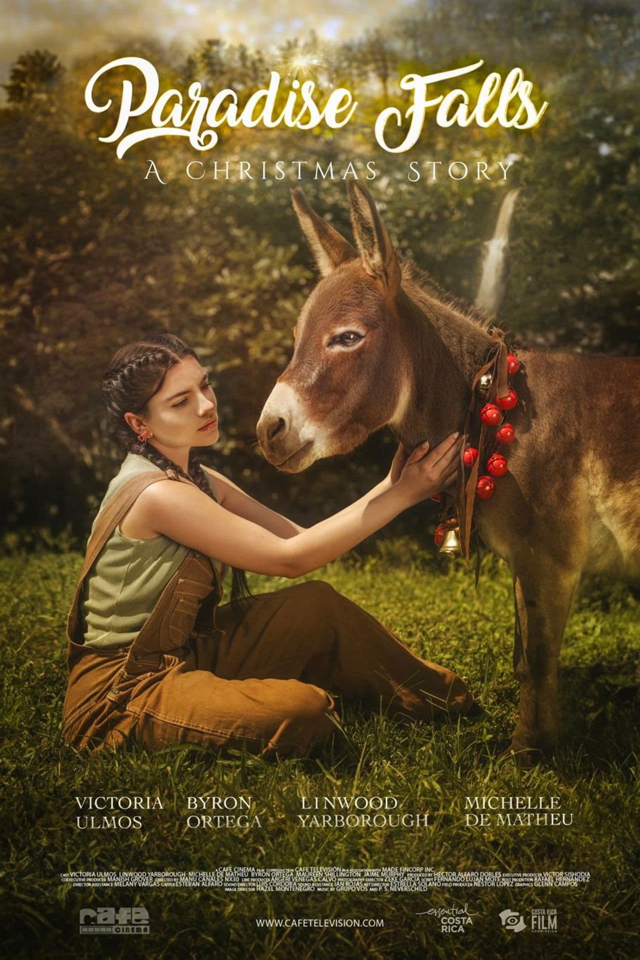 Paradise Falls: A Christmas Story