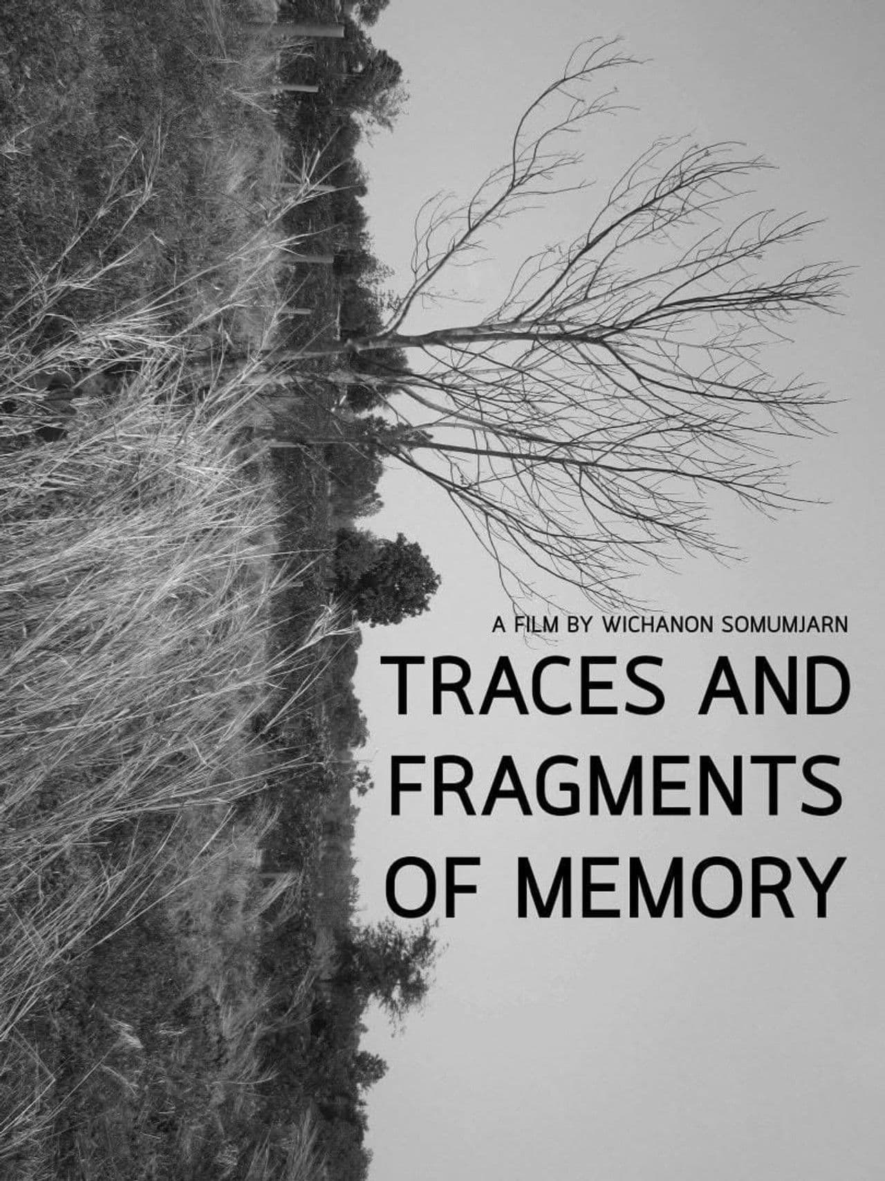 Traces and Fragments of Memory