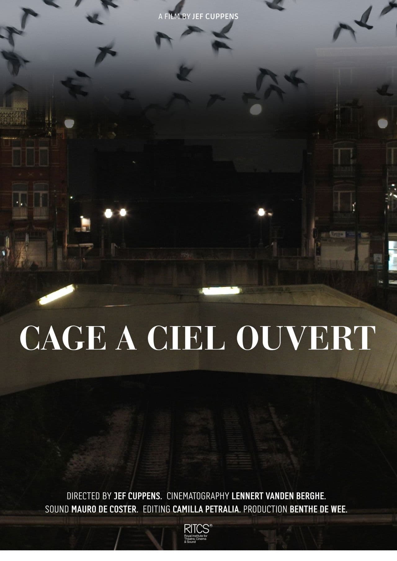 Cage À Ciel Ouvert