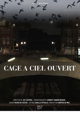 Cage À Ciel Ouvert