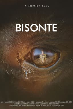 Bisonte