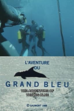 The Big Blue Adventure